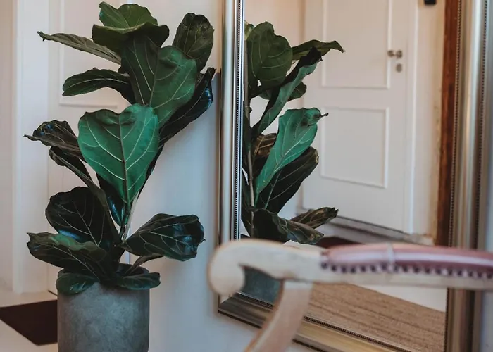 Apartment Casarosa Attico 3br, 3ba